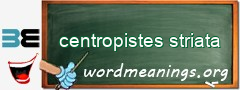 WordMeaning blackboard for centropistes striata